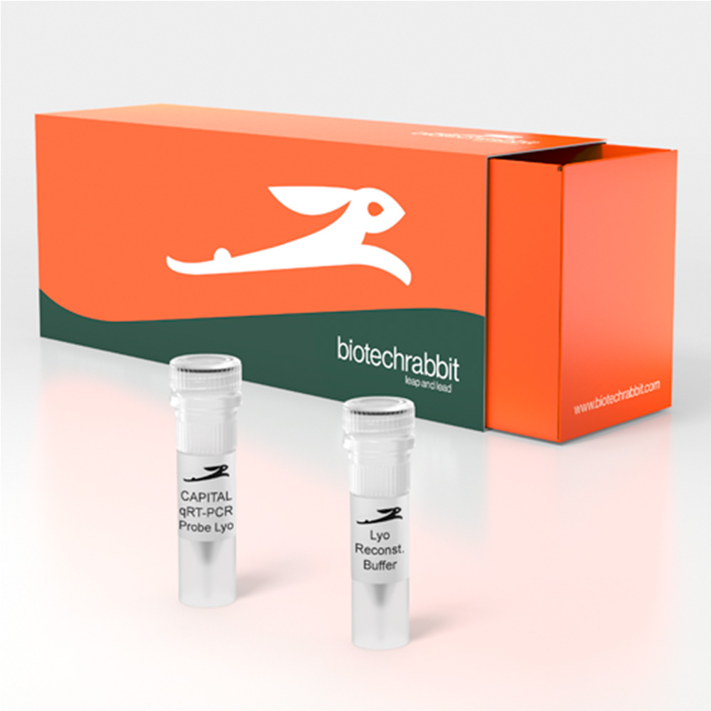 Picture of CAPITAL 1-Step qRT-PCR Probe Master Mix, lyophilized 5× (200 rxn of 20 µl)