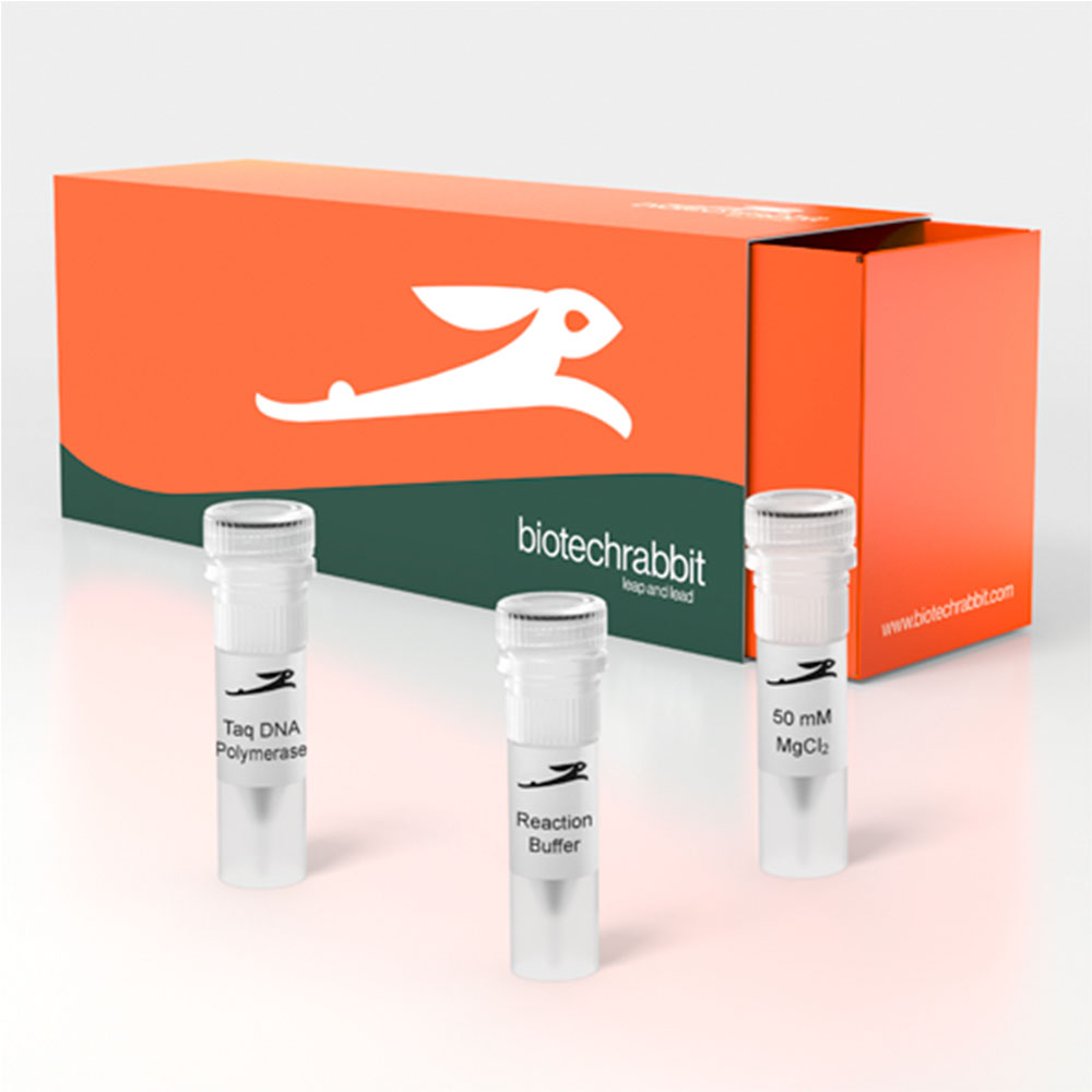 Picture of Taq DNA Polymerase recombinant (500 U)