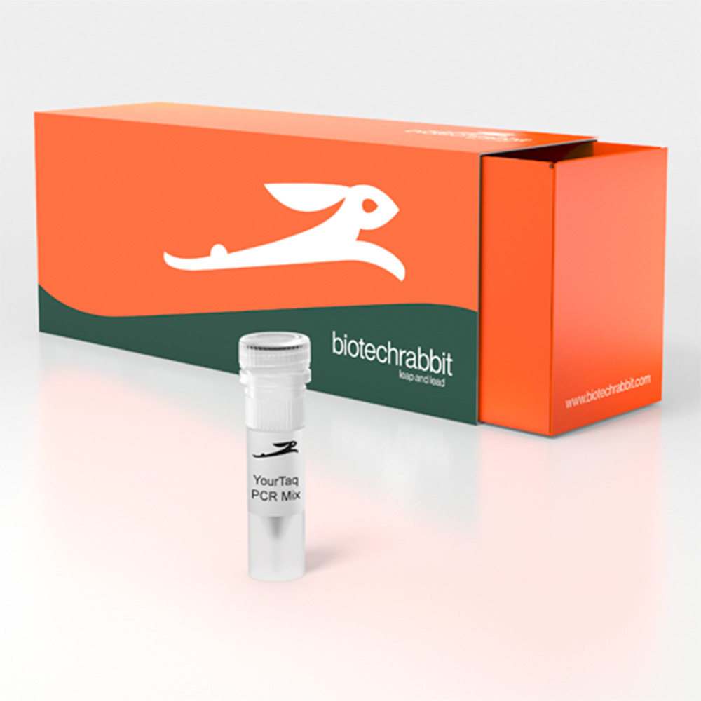 Picture of YourTaq PCR Mix, 2× (200 rxn of 50 µl)