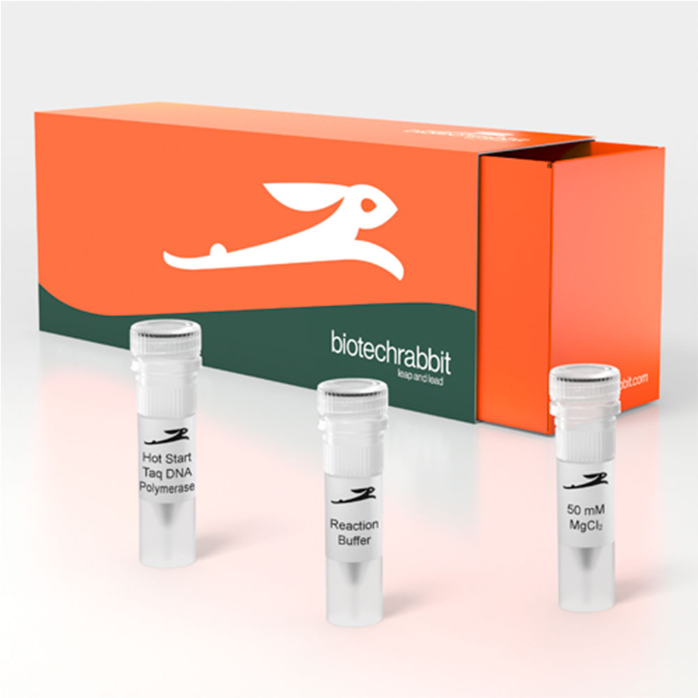 Picture of Hot Start Taq DNA Polymerase (500 U)