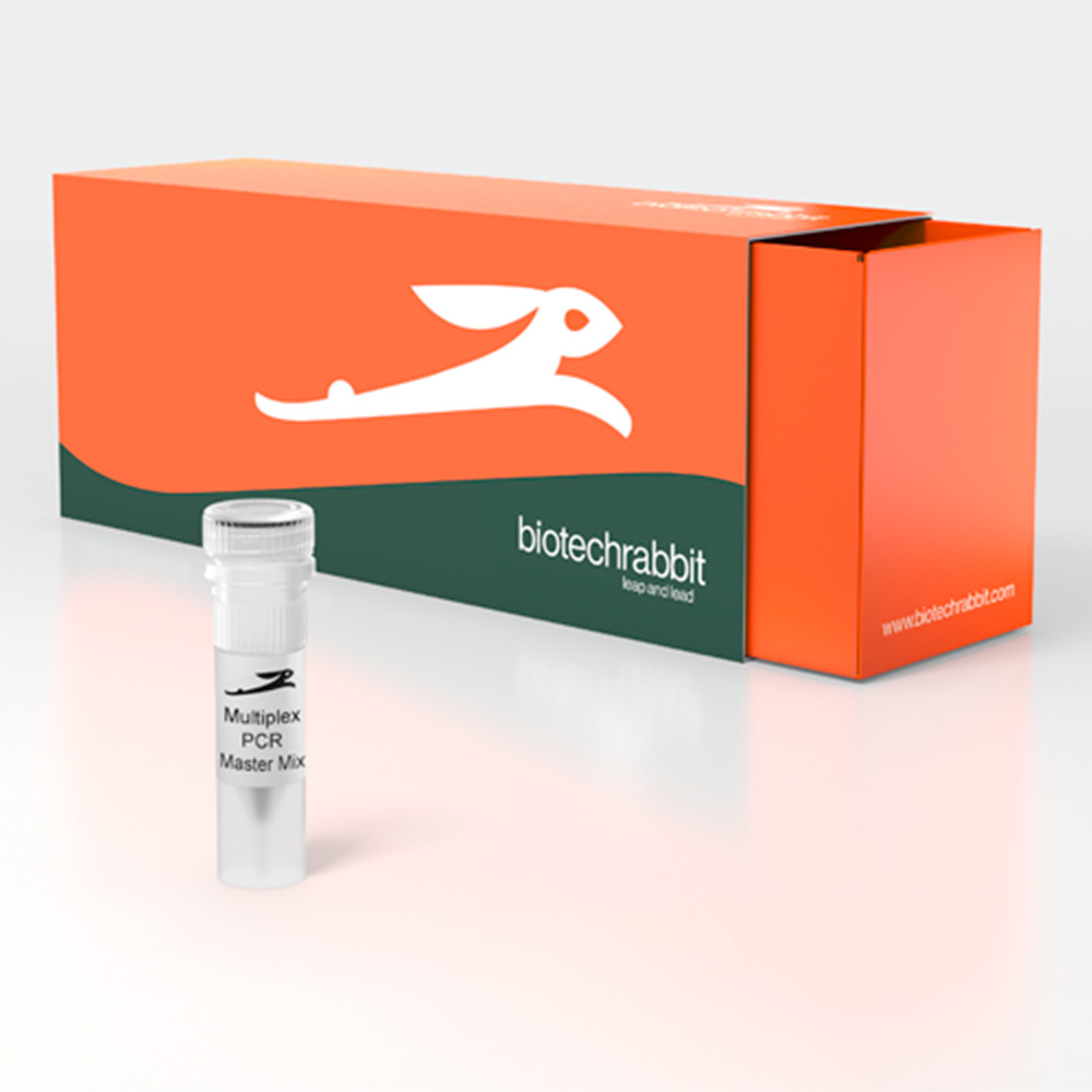 Picture of Multiplex PCR Master Mix, 2× (250 reactions of 50 µl)