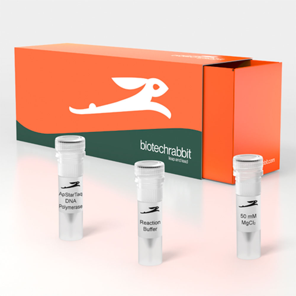 Picture of ApStarTaq DNA Polymerase, 5 U/µl (5000 U)