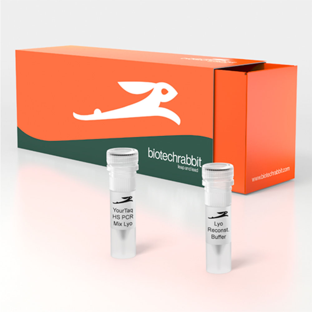 Picture of YourTaq Hot Start PCR Mix, lyophilized, 2× (200 rxn of 50 µl)