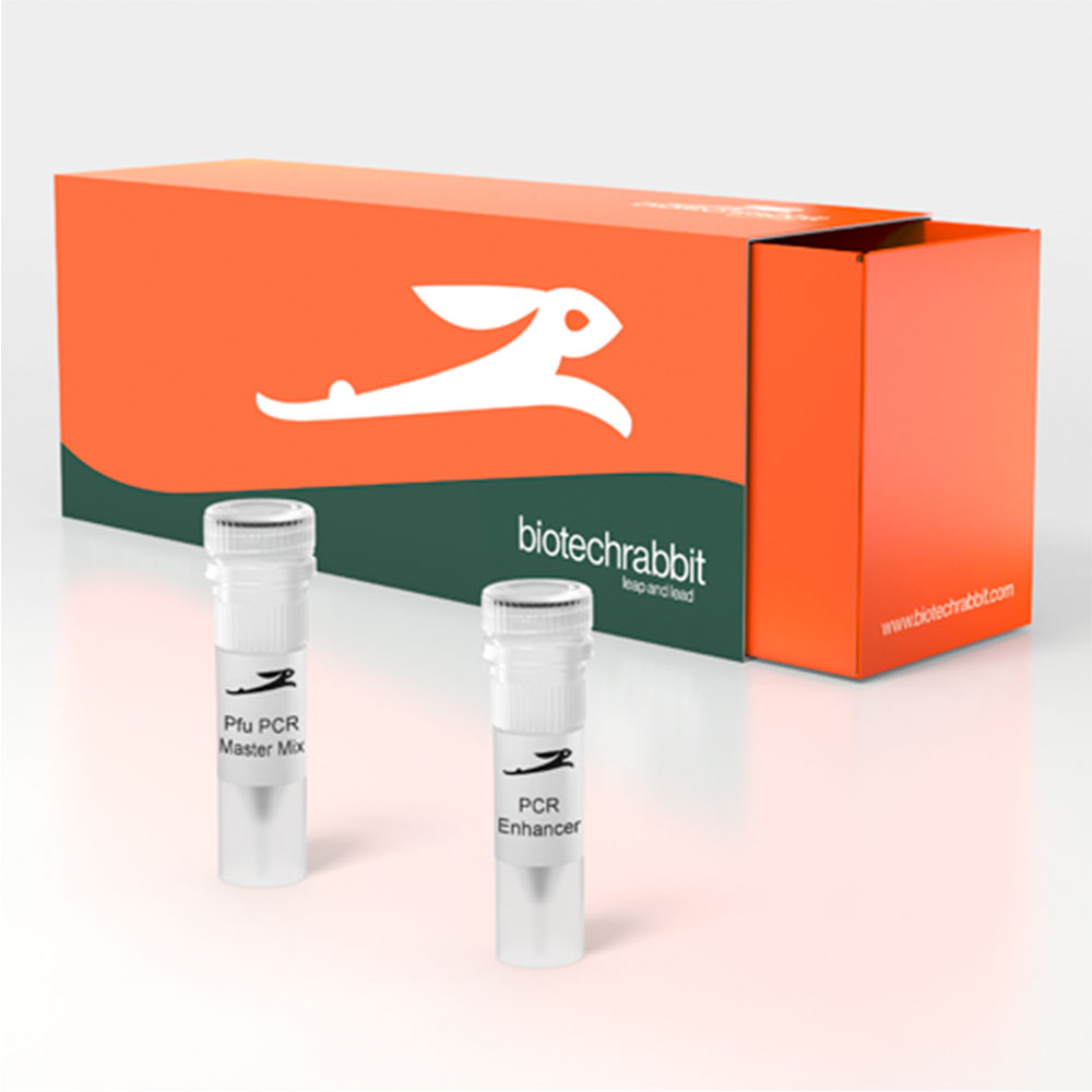 Picture of Pfu PCR Master Mix, 2× (100 reactions of 50 µl)