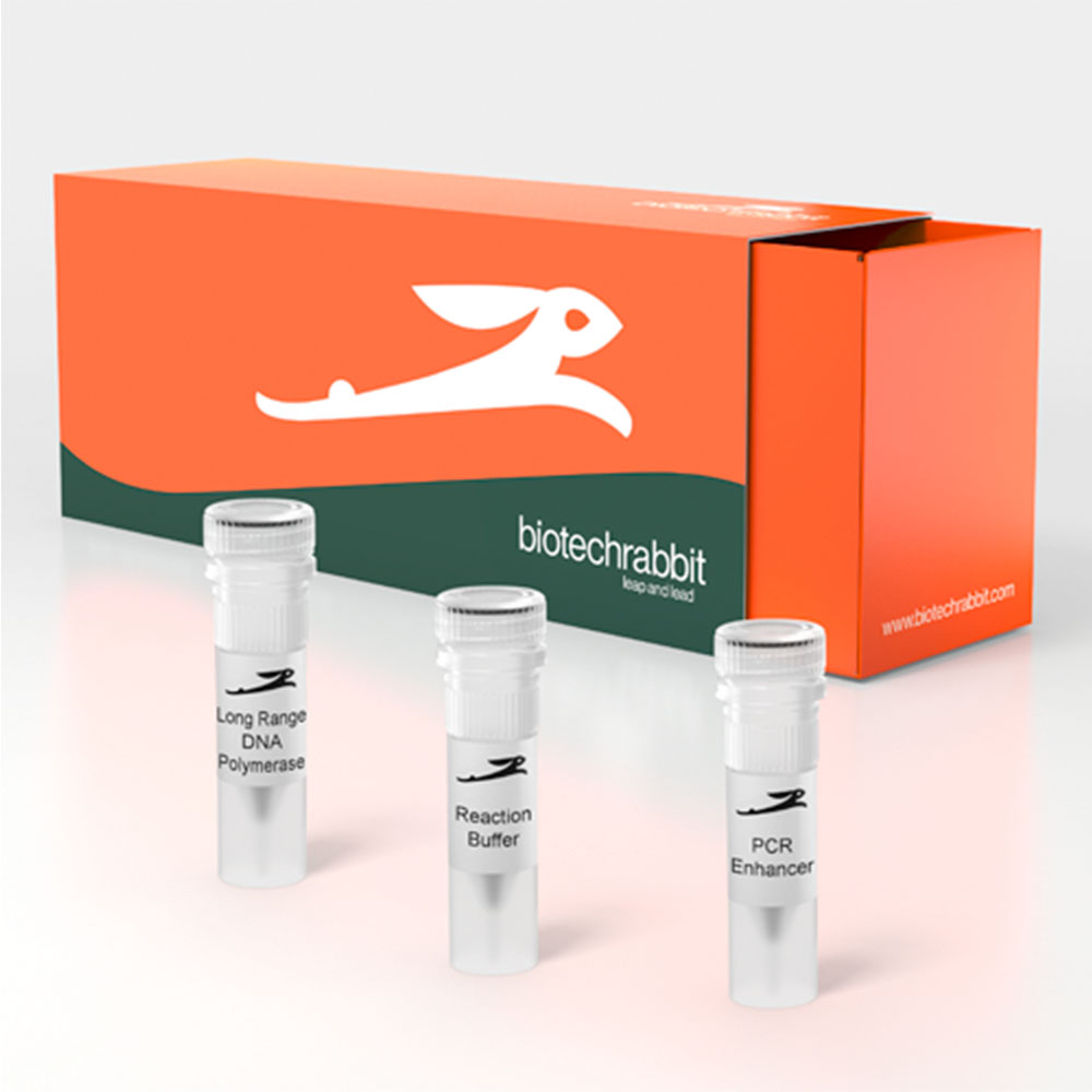 Picture of Long Range DNA Polymerase (100 U | 80 reactions)