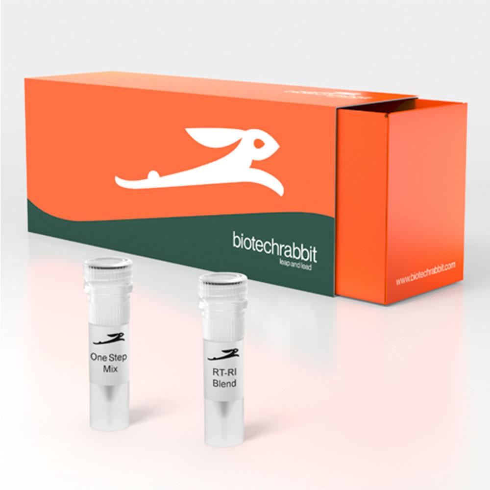 Picture of One Step RT-PCR Kit (500 reactions of 50 µl)