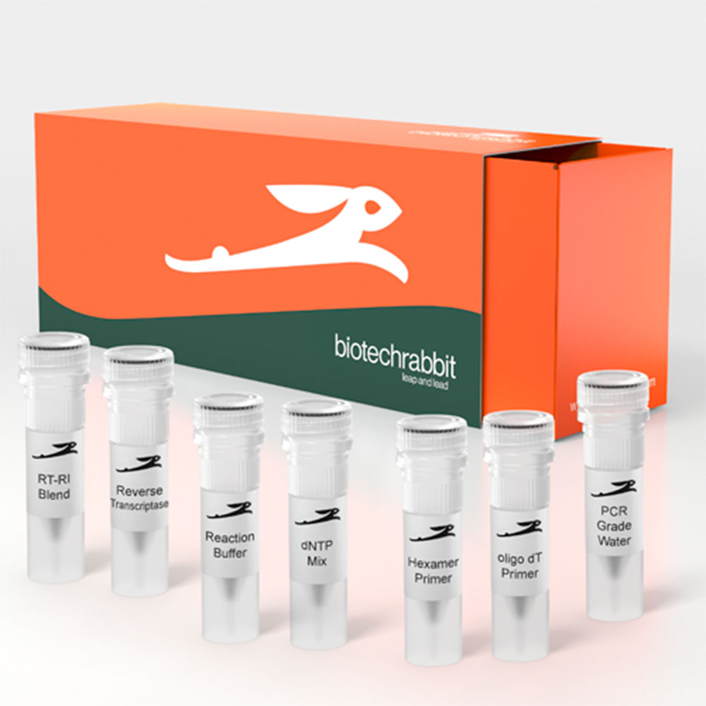 Picture of cDNA Synthesis Kit (10 reactions of 20 µl)