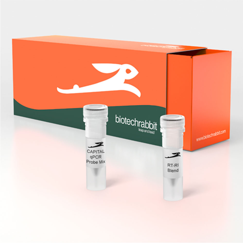 Picture of CAPITAL qRT-PCR Probe Mix, 4× (4000 rxn of 20 µl)