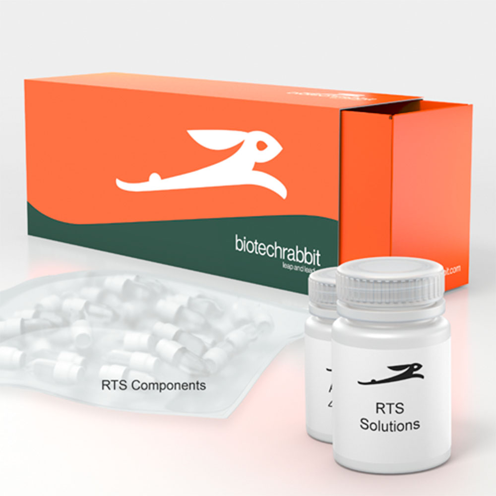 Picture of RTS 100 E. coli HY Kit (6 reactions of 50 µl)