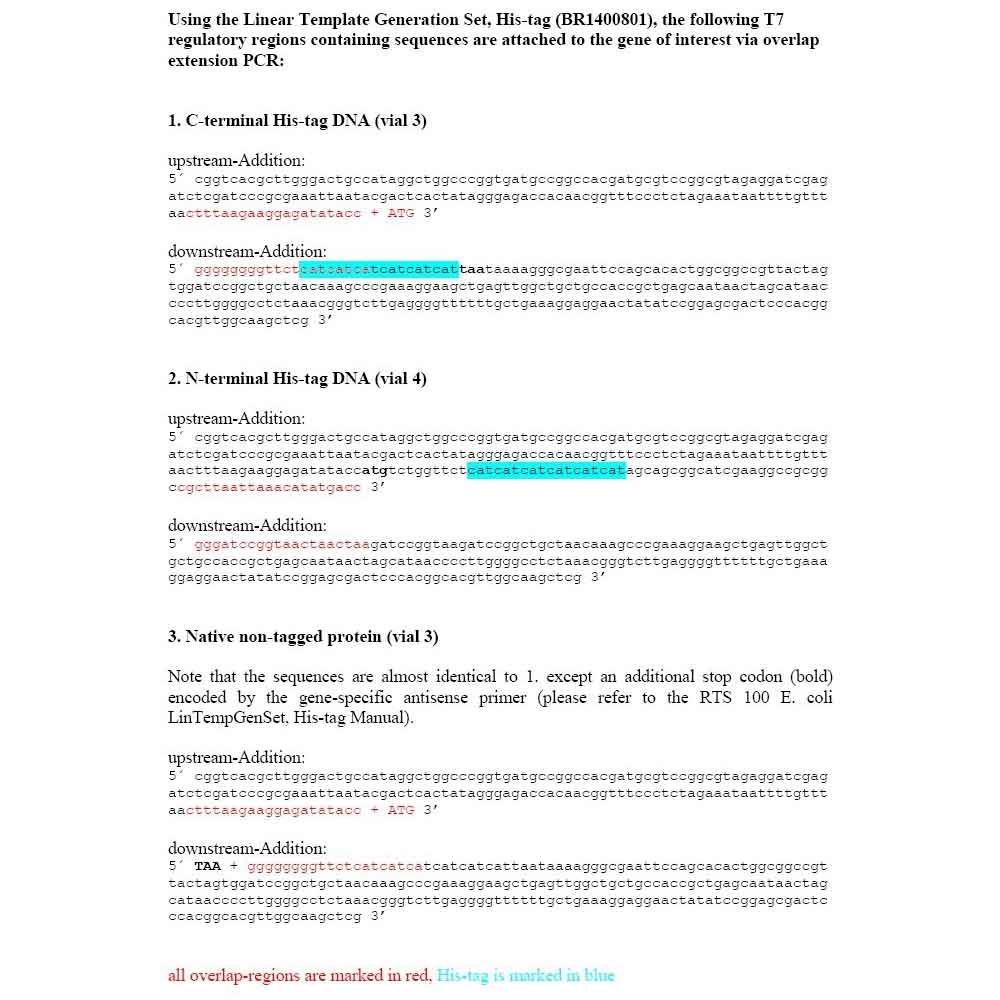 Picture of RTS 100 E. coli LinTempGen Set, His-tag (96 PCRs of 50 µl)