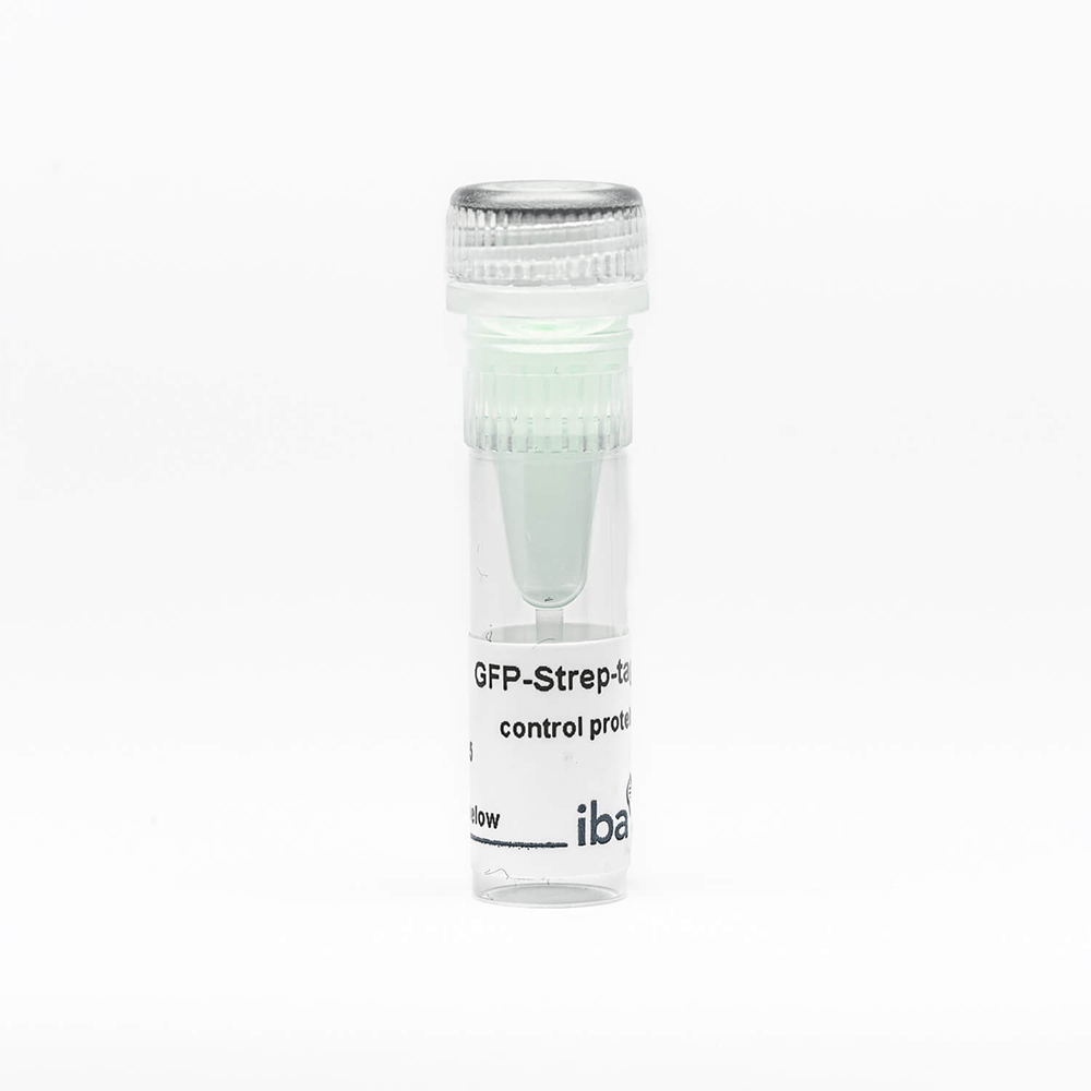 Picture of GFP-Strep-tag control protein (500 µg)