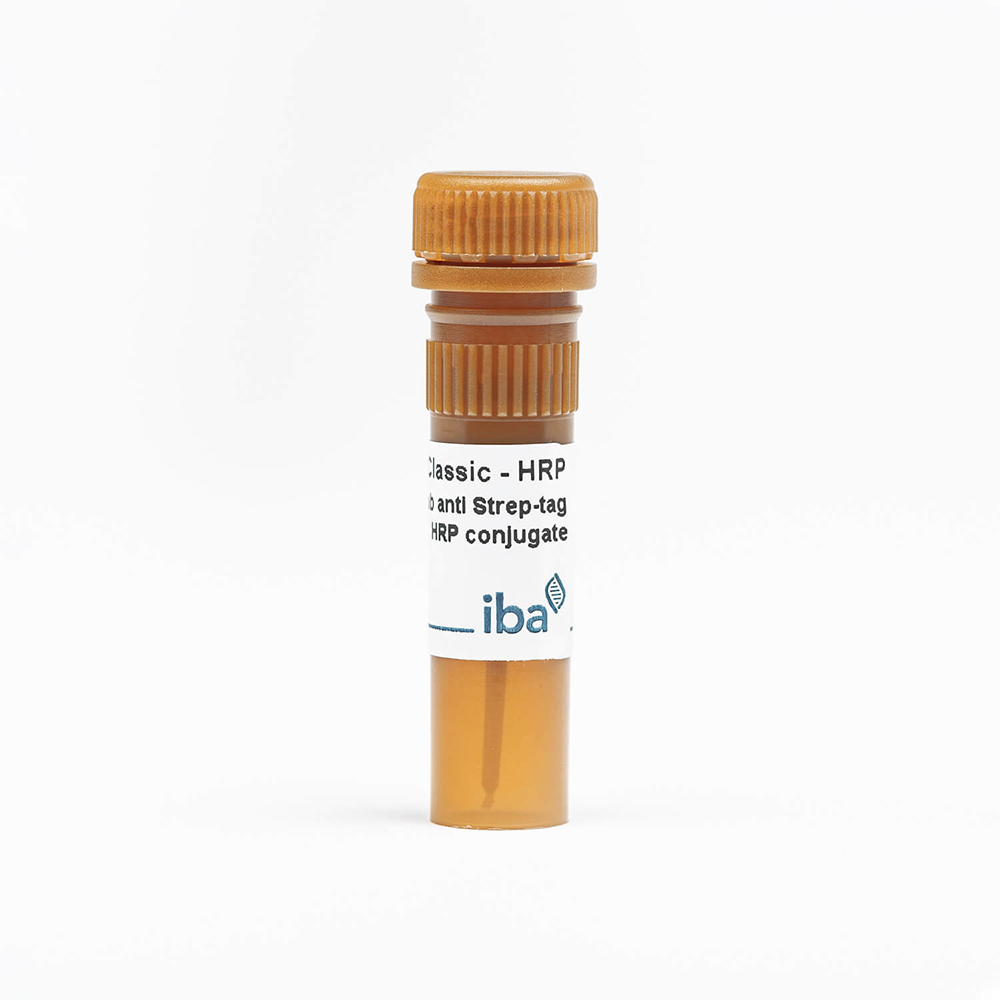 Picture of StrepMAB-Classic HRP conjugate, 75ul - 25-30 blots