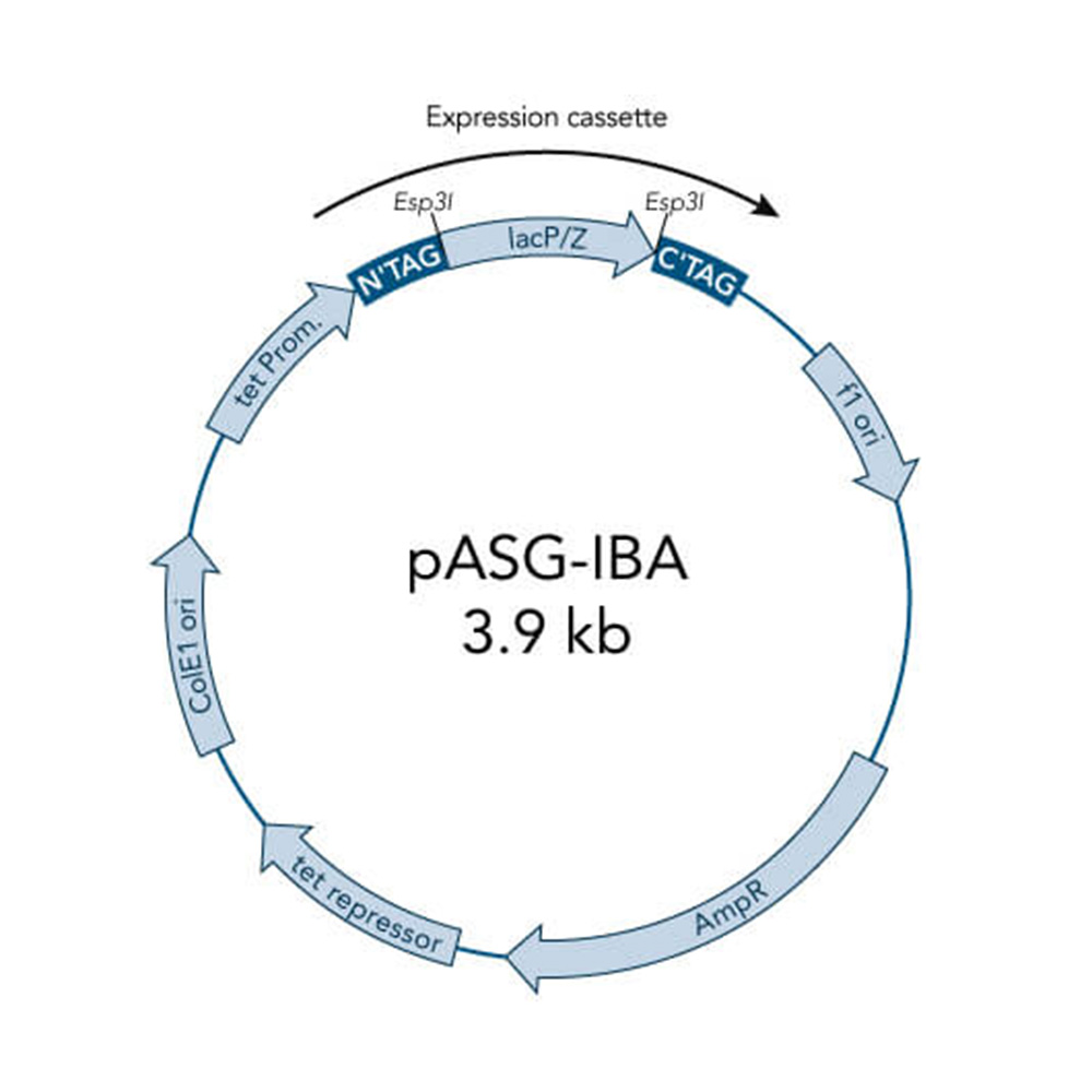 Picture of StarGate Acceptor Vector pASG-IBA103 (5 ug)