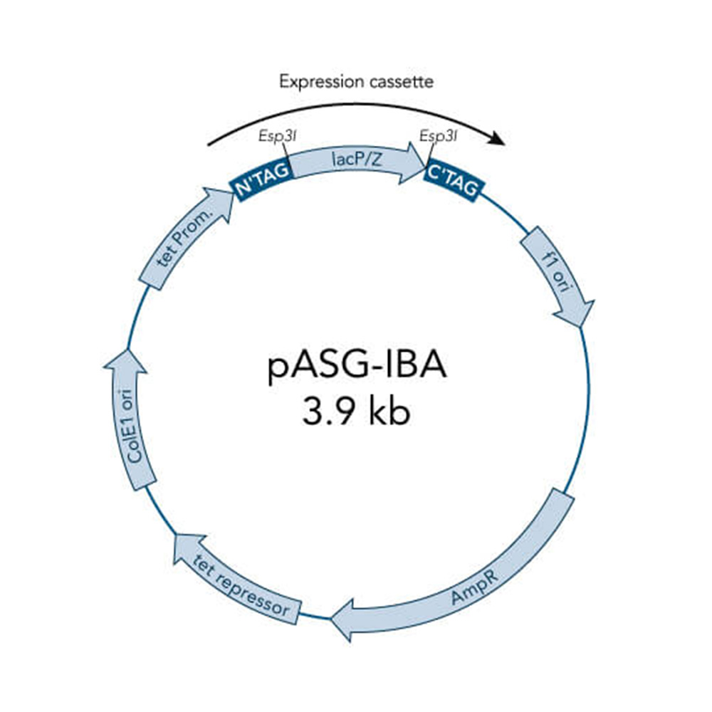 Picture of StarGate Acceptor Vector pASG-IBA105 (5 ug)