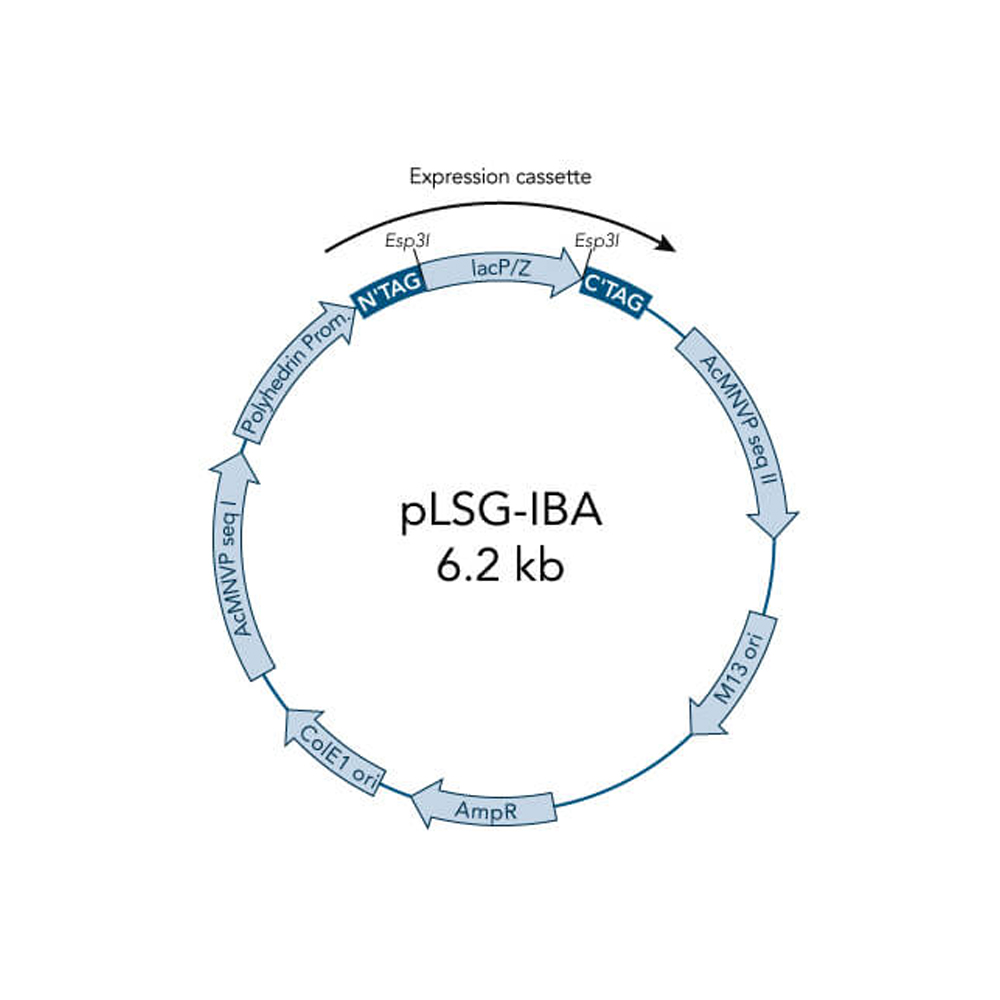 Picture of StarGate Acceptor Vector pLSG-IBA104 (5 ug)