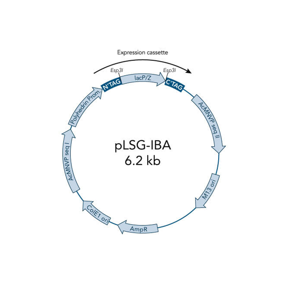 Picture of StarGate Acceptor Vector pLSG-IBA123 (5 ug)