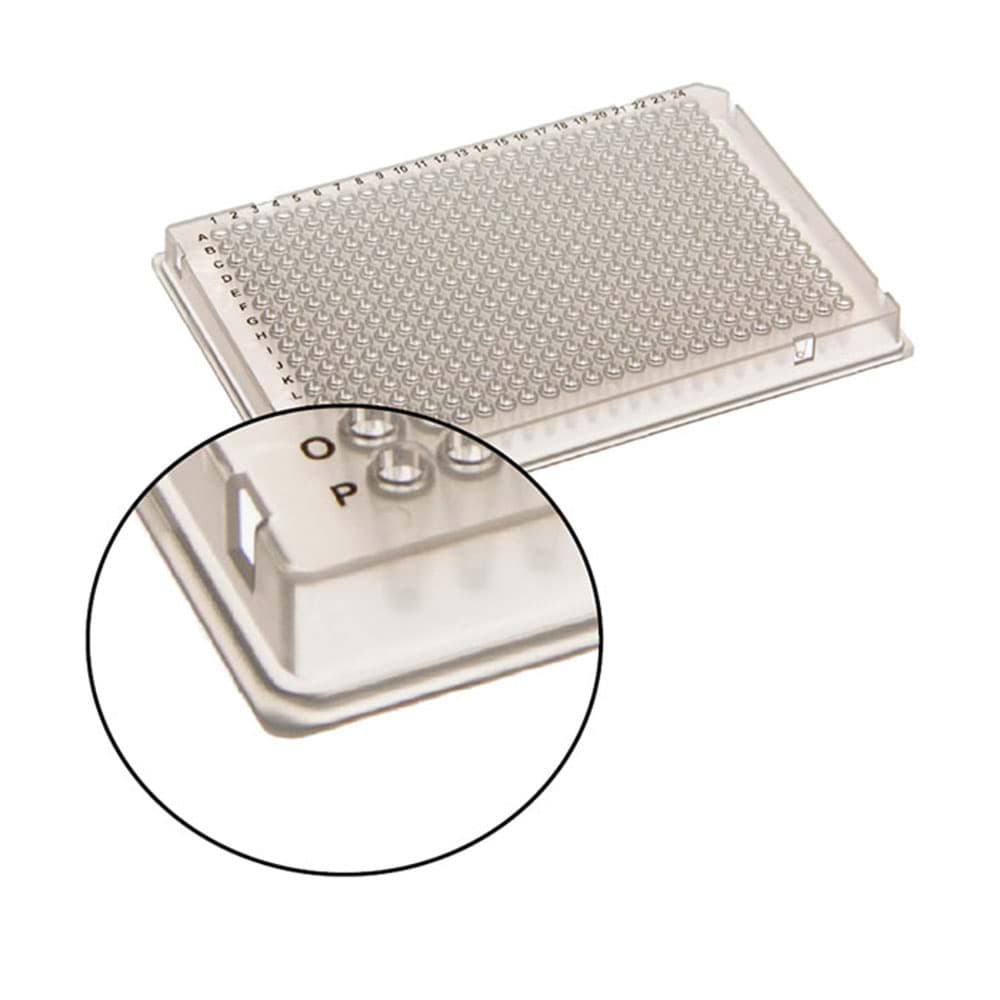 detail of transparent 384 well PCR plate A24 notch 